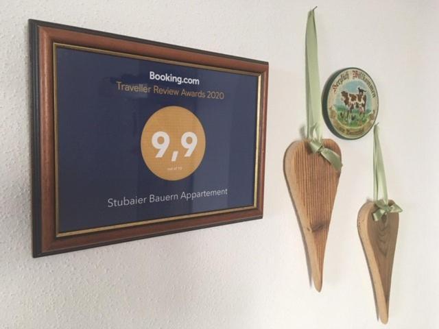 Stubaier Bauern Appartement 施图拜河谷泰尔夫斯 外观 照片